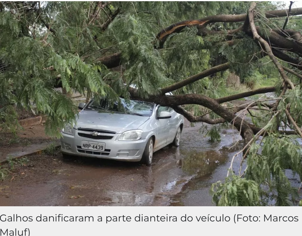 Chuva rápida ventos fortes derrubam árvore em cima de carro em