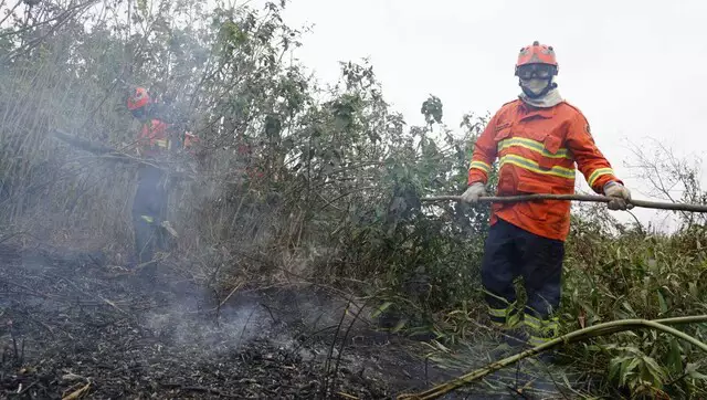Brigadistas apagam focos de incêndio no Pantanal de Corumbá (Foto: Alex Machado) 