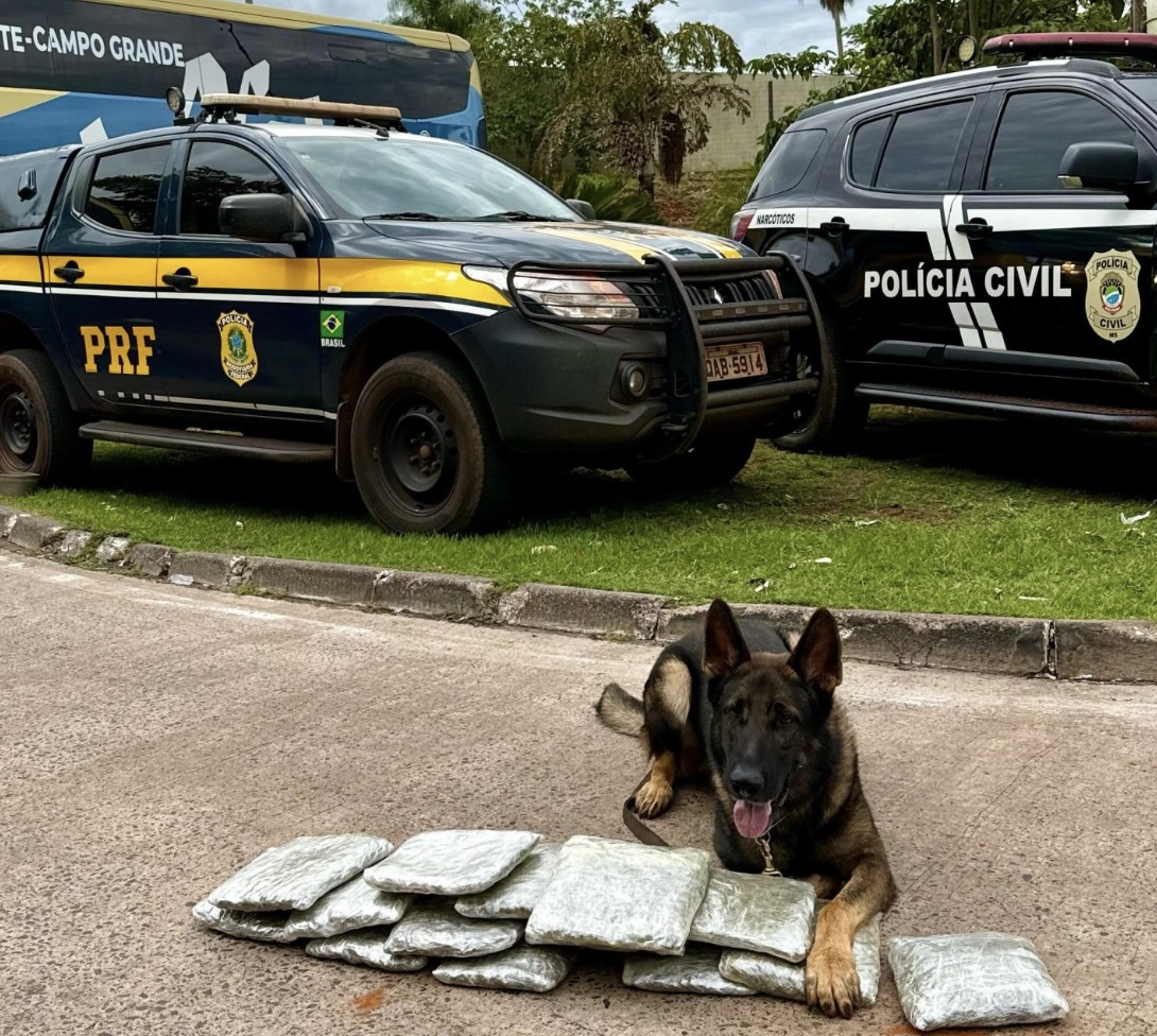 Divulgação/policia civil 