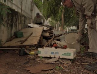 Boletim Epidemiológico: MS registra 1.424 casos confirmados de dengue