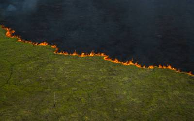 MPMS divulga resultados dos levantamentos dos polígonos de ignição dos incêndios no Pantanal