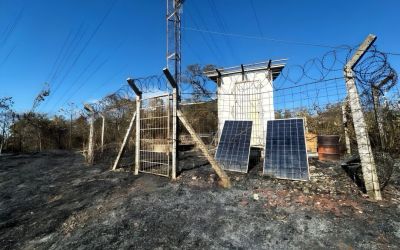 Churrasco improvisado pode ter causado incêndio no Pantanal em 2024