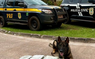 Campo Grande: Casal é preso transportando drogas em ônibus clandestino 